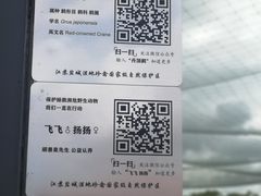-盐城丹顶鹤湿地生态旅游区
