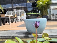 -813芭依珊 BAESAn(皇冠十畝地店)