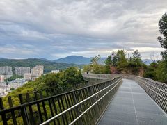 -福道