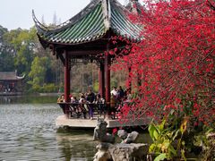 -棠湖公园