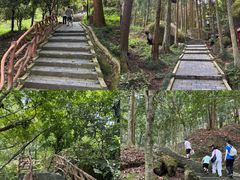 -大围山国家森林公园