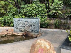 -深圳龙潭公园