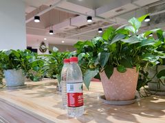 -老谢野馄饨(延安路店)
