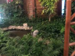 -南宫温泉水世界