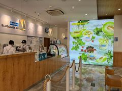 -Blueglass酸奶(财富购物中心店)