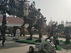 -上海长兴岛郊野公园