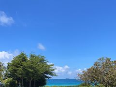 -亚龙湾红树林度假酒店-韩轩韩餐厅