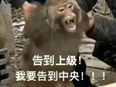 -1718海鲜姿造(苏宁宴请臻选店)