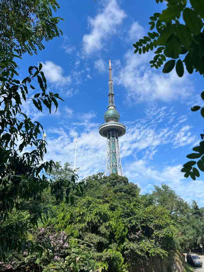 太平山公园"空气新鲜景色优美的好地方,是免费的,所以.