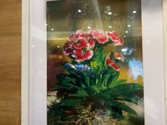 -韩香福烤肉庄园(华夏路店)