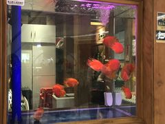 -小吊梨汤·北京菜·烤鸭(清河万象汇店)