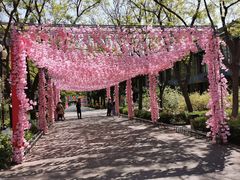 -大明幻境第一城