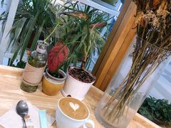 -猫的天空之城概念书店(印象城购物中心店)