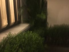 -三亚亚龙湾雅高铂尔曼别墅度假酒店