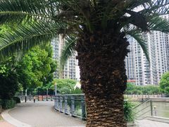 -苏州河梦清园环保主题公园