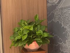 -全聚德(新街口店)