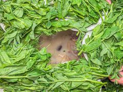 -肖仙仙羊肉汤·创于1996年(三官堂总店)