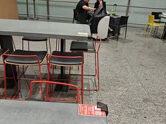 -麦当劳(北京大兴机场二层国内到达(安检外)店)