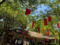 -顺峰山公园