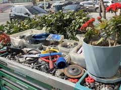 -道路口单车爱瓦士dahon大行