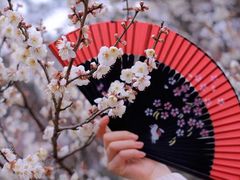 -梅花山(明孝陵内)