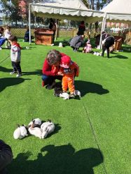 -萌宠亲子动物乐园(槐房万达店)