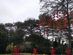 -晓港公园