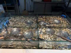 -养牛邓·潮汕牛肉海鲜自助火锅(广州店)
