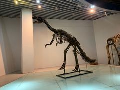 -烟台自然博物馆