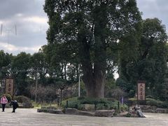 -韩湘水博园