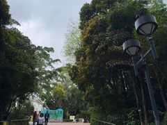 -九龙公园