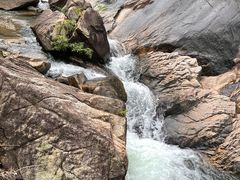 -广州白江湖森林公园