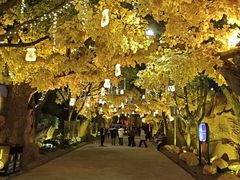 -横店影视城梦幻谷园区