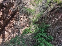 -仙居谷风景区