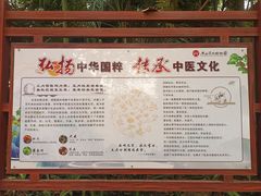 -广西壮族自治区药用植物园