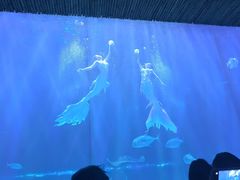 -华夏文旅海洋公园