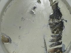 -鲍氏金勺子(恒大店)