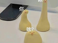 -汪保来(杭州解放路店)