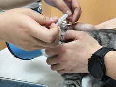 -联合动物医院(光谷诊疗中心)