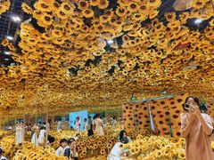 -梵高星空艺术馆(北京旗舰店)