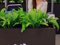 -天虹购物中心(石路店)