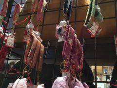 -猫咪博物馆(顶澳仔猫街店)