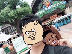 -苏州乐园森林水世界