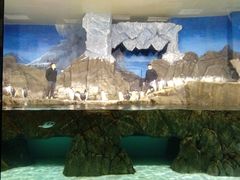 -成都浩海立方海洋公园