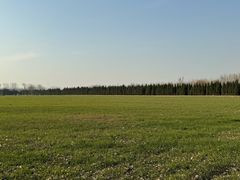 -汉长安城未央宫国家考古遗址公园