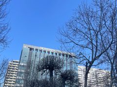 -枫千叶精致料理