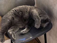 -Me Coffee下午茶艺术空间