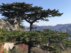 -圣莲山风景区