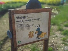 -田园东方蜜桃村的田野营地