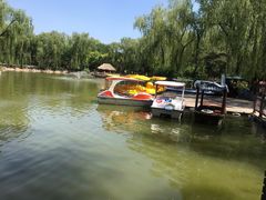 -南宫五洲植物乐园